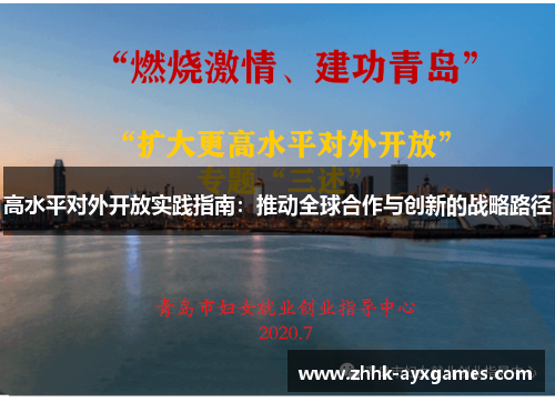 高水平对外开放实践指南：推动全球合作与创新的战略路径
