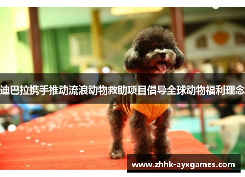 迪巴拉携手推动流浪动物救助项目倡导全球动物福利理念