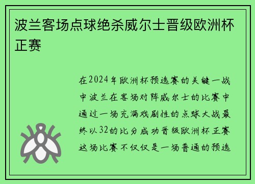 波兰客场点球绝杀威尔士晋级欧洲杯正赛